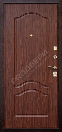 Фотография «Дверь с ковкой №2»