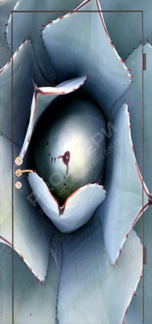 Фотография «Дверь с фотопечатью №3»